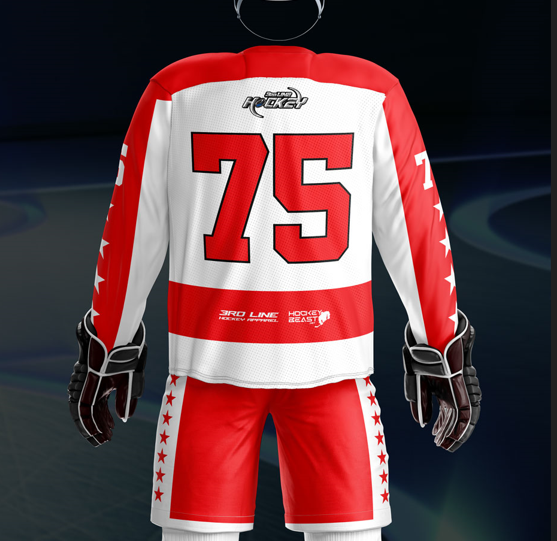 Altoona 2024 - Hornets Jersey